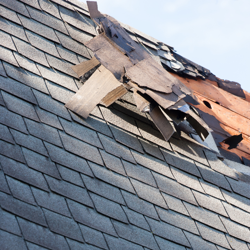 Roof shingles affected by severe weather